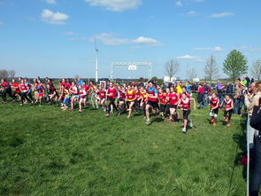 爱游戏体育官网-全国青少年劳动体育竞赛各项赛事激烈进行，全国青少年劳动体育竞赛各项赛事激烈进行的原因