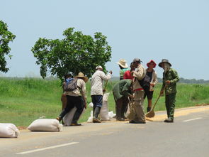 爱游戏-全国青少年团队合作跳绳赛激烈角逐,中国青少年跳绳最厉害比赛视频