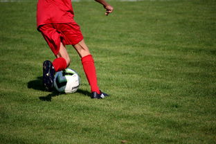 爱游戏体育在线-篮球运动员心理健康维护服务体系研究，篮球心理技能训练计划